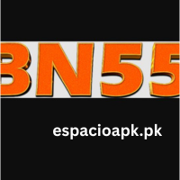 BN55 Game