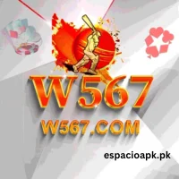 W567 Game